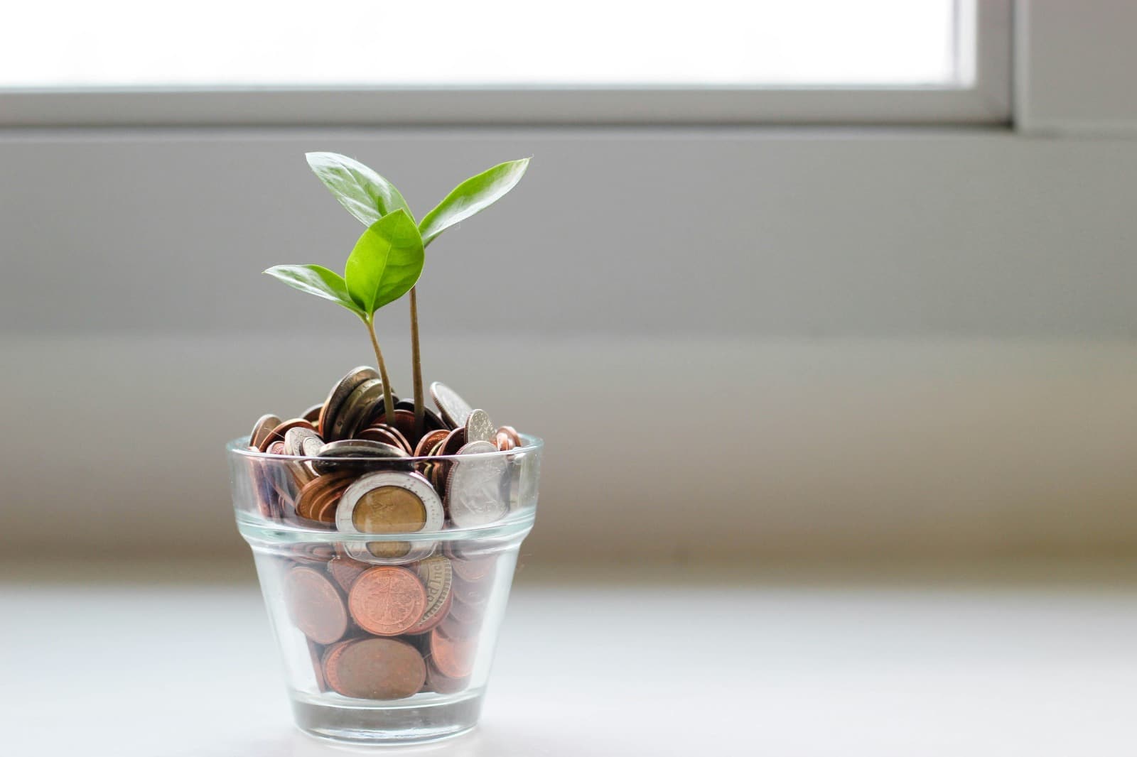 Plant growing from a jar of coins — capital put to work