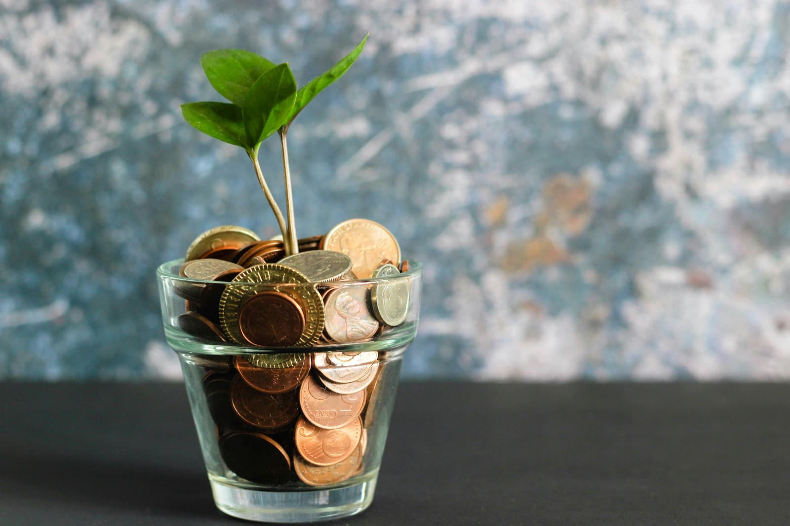 Growth from capital — closing statement for the home page