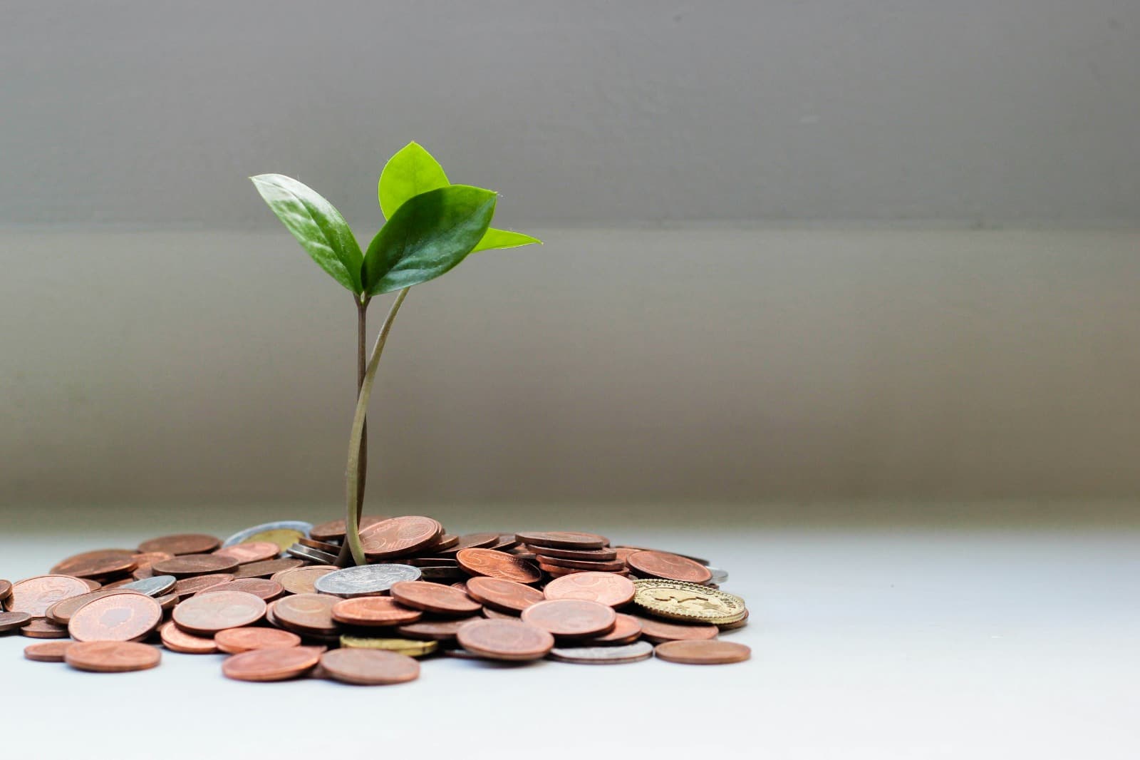 Growth from capital — the precision behind the Fincray name